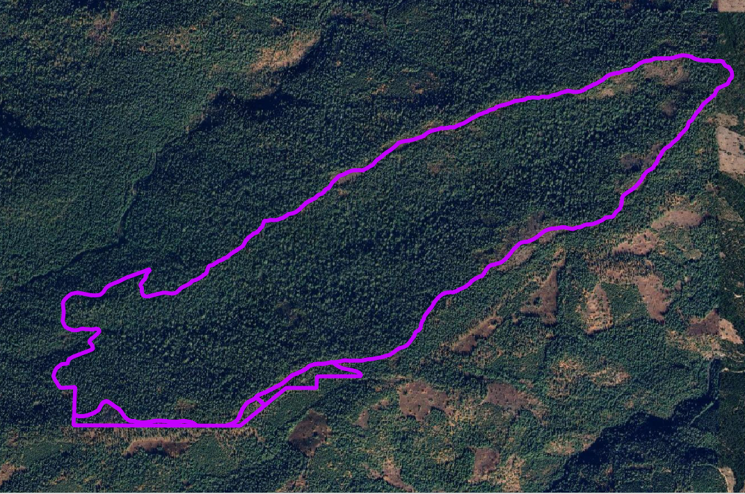 Calaveras Big Tree State Park