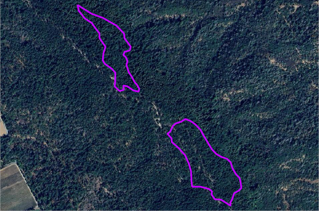 Pacific Union College